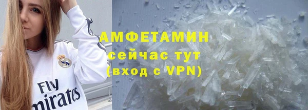 СК Ельня