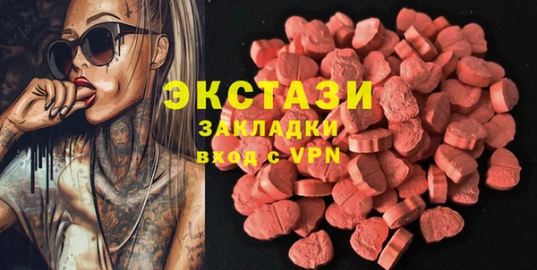СК Ельня