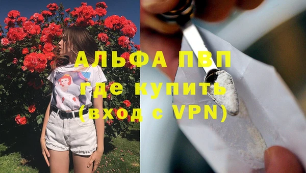 СК Ельня