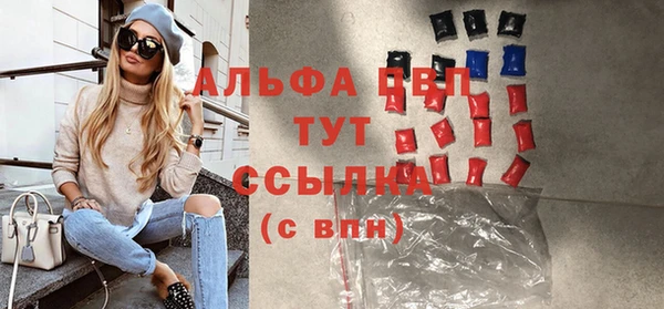 СК Ельня