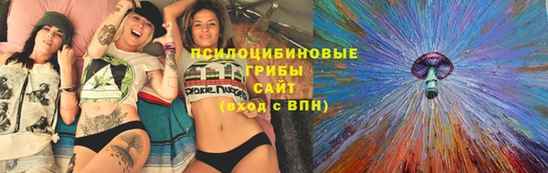 мескалин Елабуга