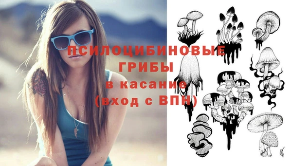 мескалин Елабуга