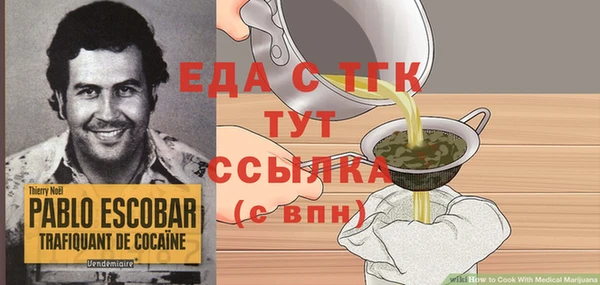СК Ельня