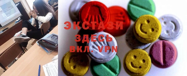 СК Ельня