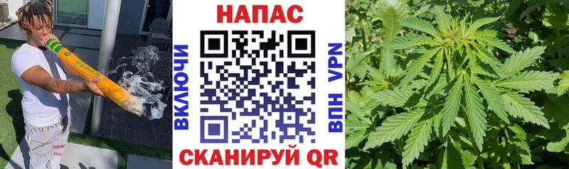 Канабис планчик  Купить где  Олонец 